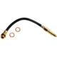 Purchase Top-Quality Front Brake Hose by RAYBESTOS - BH36503 pa3