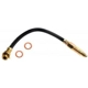 Purchase Top-Quality Front Brake Hose by RAYBESTOS - BH36503 pa7