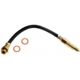Purchase Top-Quality Front Brake Hose by RAYBESTOS - BH36503 pa8