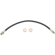 Purchase Top-Quality Front Brake Hose by RAYBESTOS - BH36510 pa2