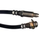 Purchase Top-Quality Front Brake Hose by RAYBESTOS - BH36528 pa20