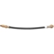 Purchase Top-Quality Front Brake Hose by RAYBESTOS - BH36539 pa5