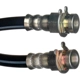 Purchase Top-Quality Front Brake Hose by RAYBESTOS - BH36574 pa3