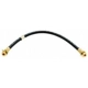 Purchase Top-Quality Front Brake Hose by RAYBESTOS - BH36575 pa1