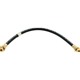 Purchase Top-Quality Front Brake Hose by RAYBESTOS - BH36575 pa4