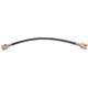 Purchase Top-Quality Front Brake Hose by RAYBESTOS - BH36605 pa4