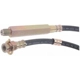 Purchase Top-Quality Front Brake Hose by RAYBESTOS - BH36617 pa11