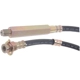 Purchase Top-Quality Front Brake Hose by RAYBESTOS - BH36617 pa3