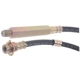 Purchase Top-Quality Front Brake Hose by RAYBESTOS - BH36617 pa5