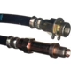 Purchase Top-Quality Front Brake Hose by RAYBESTOS - BH36623 pa1