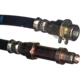 Purchase Top-Quality Front Brake Hose by RAYBESTOS - BH36623 pa11