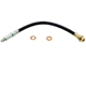 Purchase Top-Quality Front Brake Hose by RAYBESTOS - BH36623 pa13