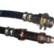 Purchase Top-Quality Front Brake Hose by RAYBESTOS - BH36623 pa5