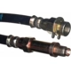 Purchase Top-Quality Front Brake Hose by RAYBESTOS - BH36623 pa8