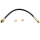 Purchase Top-Quality Front Brake Hose by RAYBESTOS - BH36637 pa8