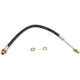 Purchase Top-Quality Front Brake Hose by RAYBESTOS - BH36641 pa1