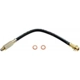 Purchase Top-Quality Front Brake Hose by RAYBESTOS - BH36652 pa7