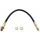 Purchase Top-Quality Front Brake Hose by RAYBESTOS - BH36669 pa1
