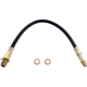 Purchase Top-Quality Front Brake Hose by RAYBESTOS - BH36669 pa2