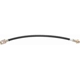 Purchase Top-Quality Front Brake Hose by RAYBESTOS - BH36686 pa13