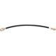 Purchase Top-Quality Front Brake Hose by RAYBESTOS - BH36686 pa9