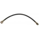 Purchase Top-Quality Front Brake Hose by RAYBESTOS - BH36715 pa12