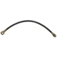 Purchase Top-Quality Front Brake Hose by RAYBESTOS - BH36715 pa2