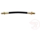 Purchase Top-Quality Front Brake Hose by RAYBESTOS - BH36739 pa4