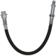 Purchase Top-Quality Front Brake Hose by RAYBESTOS - BH36776 pa4