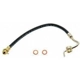 Purchase Top-Quality Front Brake Hose by RAYBESTOS - BH36786 pa1