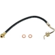 Purchase Top-Quality Front Brake Hose by RAYBESTOS - BH36786 pa2