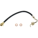 Purchase Top-Quality Front Brake Hose by RAYBESTOS - BH36786 pa3