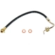 Purchase Top-Quality Front Brake Hose by RAYBESTOS - BH36786 pa8