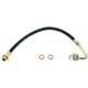 Purchase Top-Quality Front Brake Hose by RAYBESTOS - BH36787 pa4