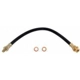 Purchase Top-Quality Front Brake Hose by RAYBESTOS - BH36794 pa1