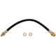Purchase Top-Quality Front Brake Hose by RAYBESTOS - BH36794 pa3