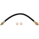 Purchase Top-Quality Front Brake Hose by RAYBESTOS - BH36794 pa7