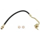 Purchase Top-Quality Front Brake Hose by RAYBESTOS - BH36805 pa1