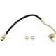 Purchase Top-Quality Front Brake Hose by RAYBESTOS - BH36805 pa2