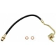 Purchase Top-Quality Front Brake Hose by RAYBESTOS - BH36805 pa4