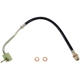 Purchase Top-Quality Front Brake Hose by RAYBESTOS - BH36810 pa2