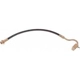 Purchase Top-Quality Front Brake Hose by RAYBESTOS - BH36811 pa1