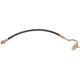 Purchase Top-Quality Front Brake Hose by RAYBESTOS - BH36811 pa11