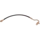 Purchase Top-Quality Front Brake Hose by RAYBESTOS - BH36811 pa14
