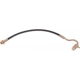 Purchase Top-Quality Front Brake Hose by RAYBESTOS - BH36811 pa16
