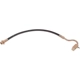 Purchase Top-Quality Front Brake Hose by RAYBESTOS - BH36811 pa5