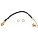 Purchase Top-Quality Front Brake Hose by RAYBESTOS - BH36819 pa1