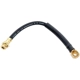 Purchase Top-Quality Front Brake Hose by RAYBESTOS - BH36825 pa2