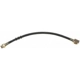 Purchase Top-Quality Front Brake Hose by RAYBESTOS - BH36828 pa2