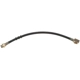 Purchase Top-Quality Front Brake Hose by RAYBESTOS - BH36828 pa4
